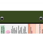 WhiteCoat Clipboard® - Army Green Neurology Edition